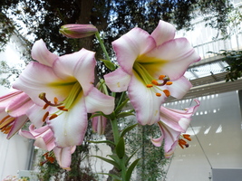 Foto: Dr. Peter Müller